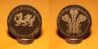 Mega Wales Welsh Slate Geocoin